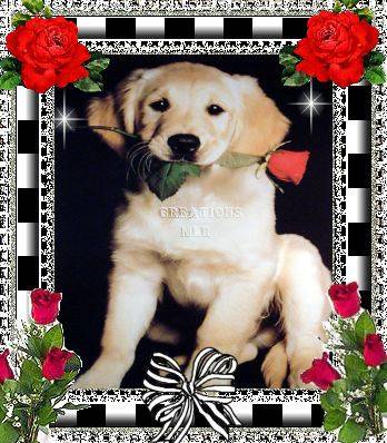 Bonjour a tout le monde